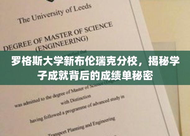 罗格斯大学新布伦瑞克分校，揭秘学子成就背后的成绩单秘密