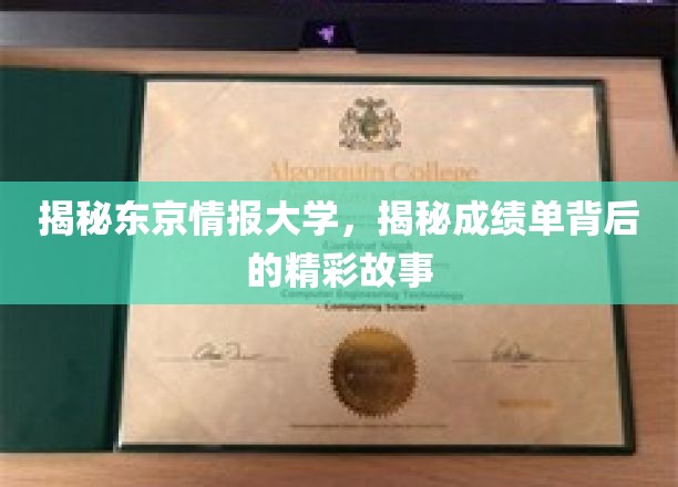 揭秘东京情报大学，探寻成绩单背后的精彩故事