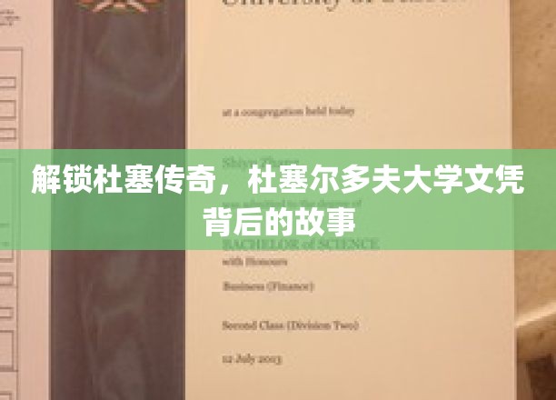 解锁杜塞传奇，杜塞尔多夫大学文凭背后的故事