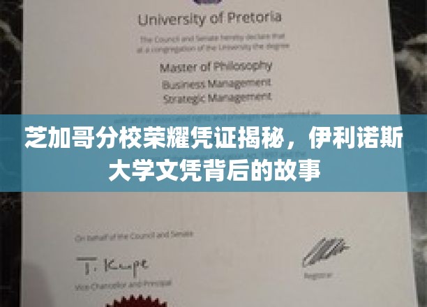 揭秘伊利诺斯大学芝加哥分校荣耀文凭，探寻伊利诺伊文凭背后的故事