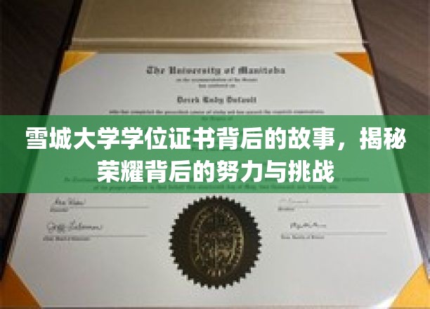 雪城大学学位证书背后的故事，揭示荣耀背后的辛勤与挑战