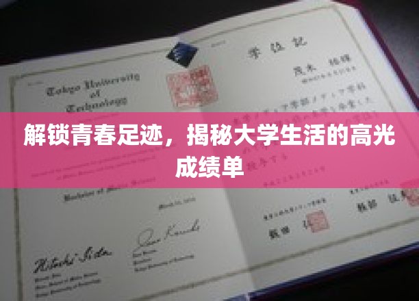 解锁青春足迹,揭秘大学生活的高光成绩单