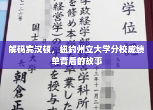解码宾汉顿，纽约州立大学分校成绩单背后的故事