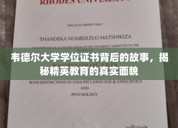 韦德尔大学学位证书背后的故事，揭秘精英教育的真实面貌