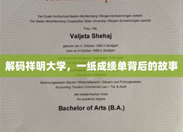 解码祥明大学，一纸成绩单背后的故事