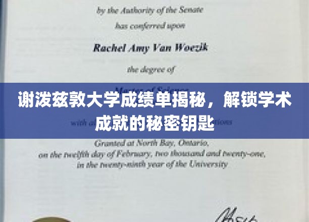 谢泼兹敦大学成绩单深度解析，探寻学术成就的奥秘钥匙