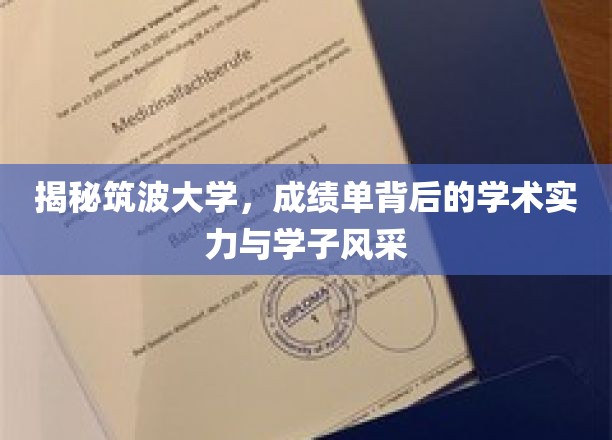揭秘筑波大学，成绩单背后的学术实力与学子风采
