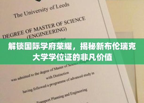 解锁国际学府荣耀，一探新布伦瑞克大学学位证的非凡价值