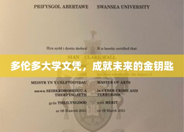 多伦多大学文凭，成就未来的金钥匙