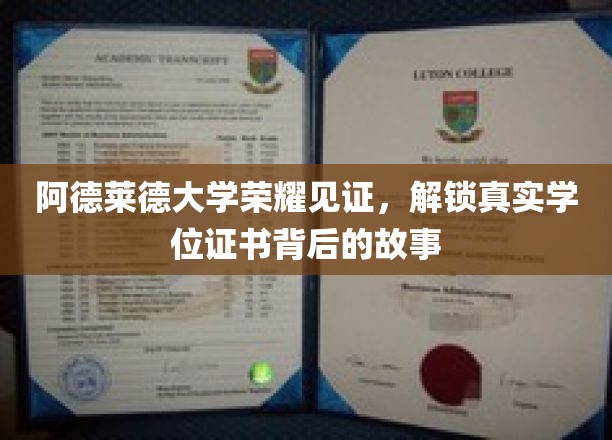 阿德莱德大学荣耀见证，解锁真实学位证书背后的故事