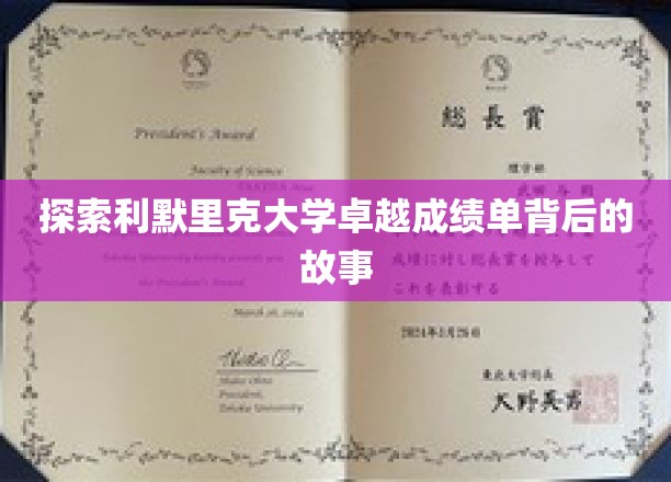 揭秘利默里克大学卓越成绩单背后的故事