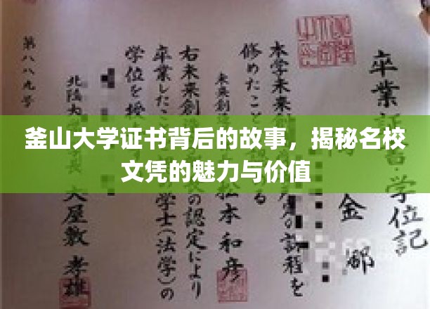 釜山大学证书背后的故事，揭秘名校文凭的魅力与价值