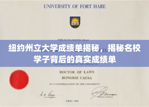 纽约州立大学成绩单揭秘，一窥名校学子背后的真实成绩单