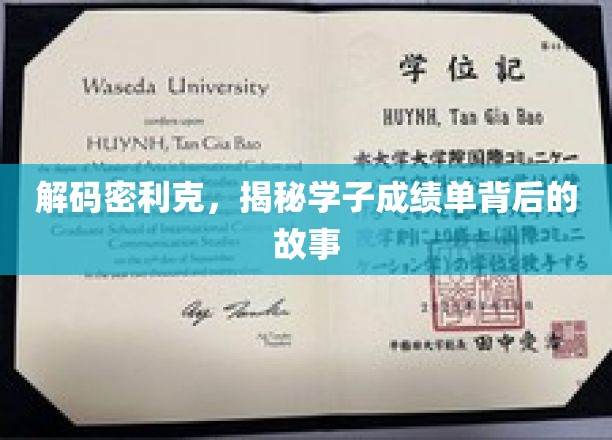 解码密利克，揭秘学子成绩单背后的故事