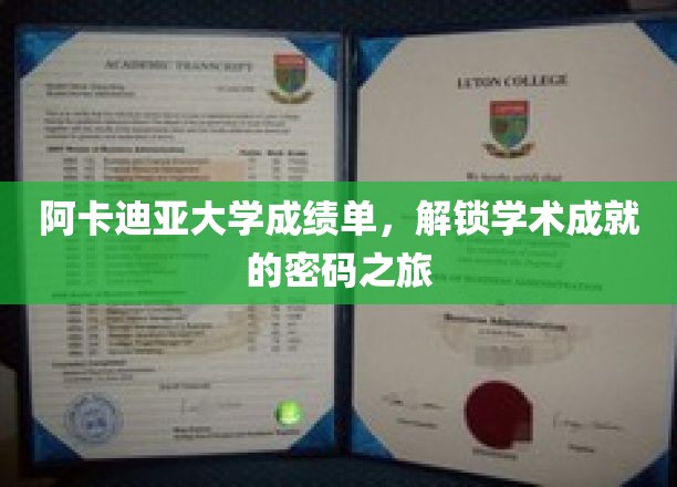 阿卡迪亚大学成绩单，解锁学术成就的密码之旅