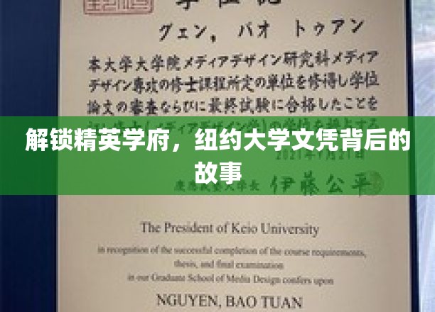 解锁精英学府，纽约大学文凭背后的故事