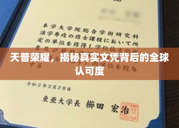 天普荣耀，揭秘真实文凭背后的全球认可度