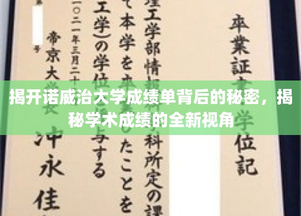 深度解析诺威治大学成绩单，探索学术成就的新维度
