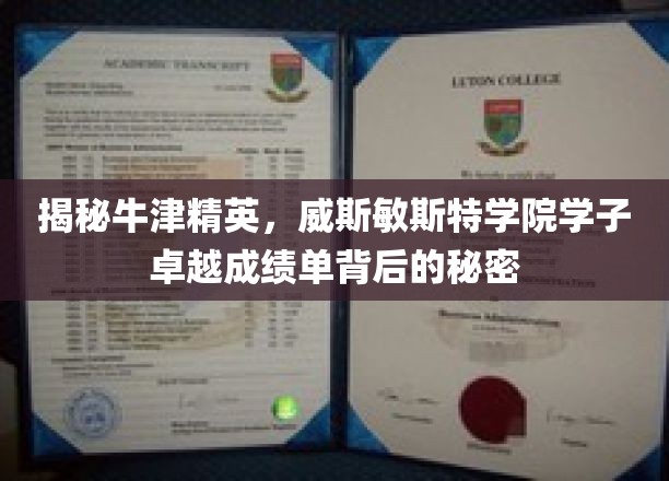 揭秘威斯敏斯特学院学子卓越成绩单背后的秘密