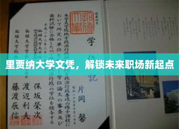 里贾纳大学文凭，开启职场新篇章