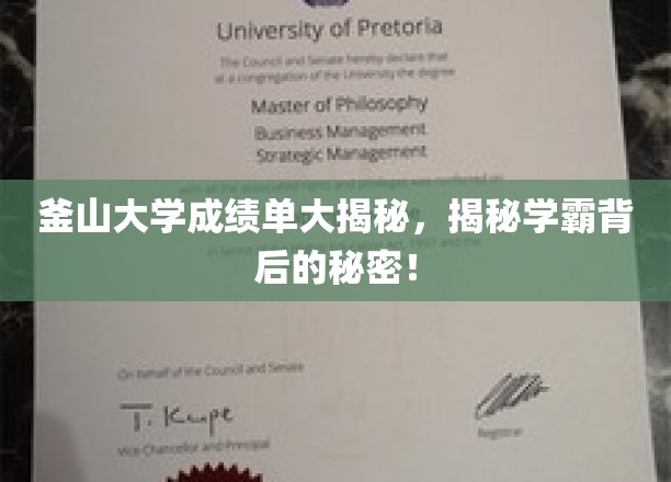 釜山大学成绩单大揭秘，揭秘学霸背后的秘密！