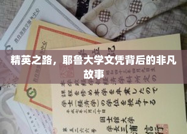 精英之路，耶鲁大学文凭背后的非凡故事