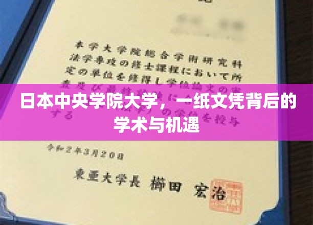 日本中央学院大学，一纸文凭背后的学术与机遇