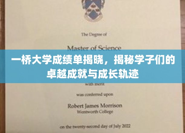 一桥大学成绩单揭晓，揭秘学子们的卓越成就与成长轨迹