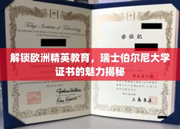 解锁欧洲精英教育，瑞士伯尔尼大学证书的魅力揭秘