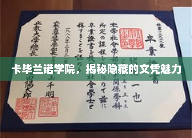 卡毕兰诺学院，揭开文凭背后的魅力