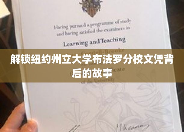 解锁纽约州立大学布法罗分校文凭背后的故事