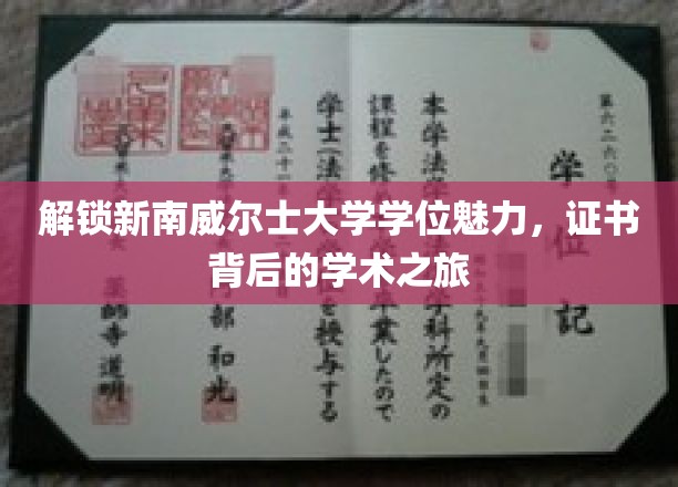 解锁新南威尔士大学学位魅力，证书背后的学术之旅
