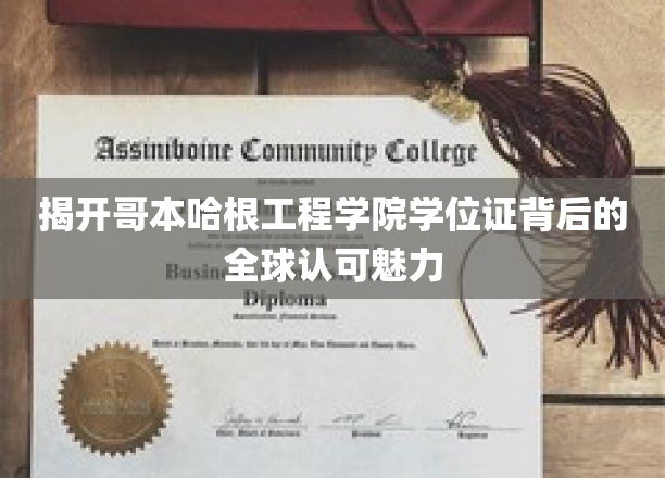 揭秘哥本哈根工程学院学位证书背后的全球认可魅力