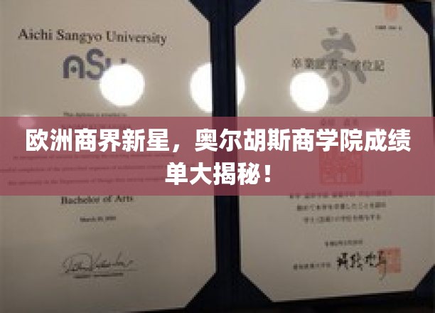 欧洲商界新星，奥尔胡斯商学院成绩单大揭秘！