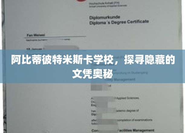 阿比蒂彼特米斯卡学校，探寻隐藏的学历奥秘