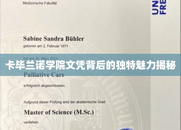 卡毕兰诺学院文凭背后的独特魅力揭秘