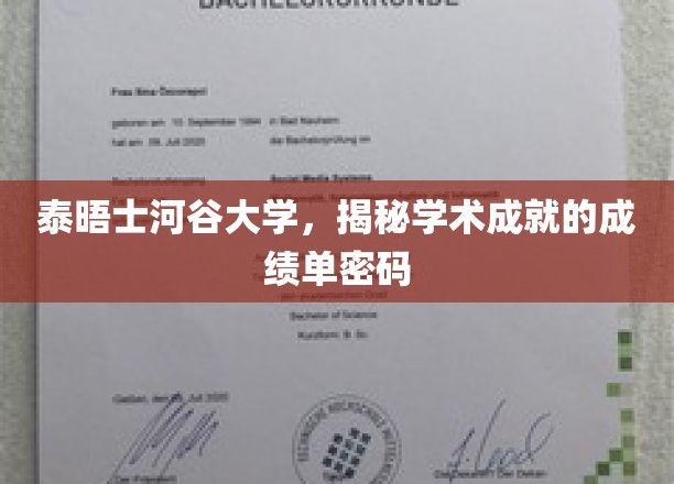 泰晤士河谷大学，揭秘学术成就的成绩单密码