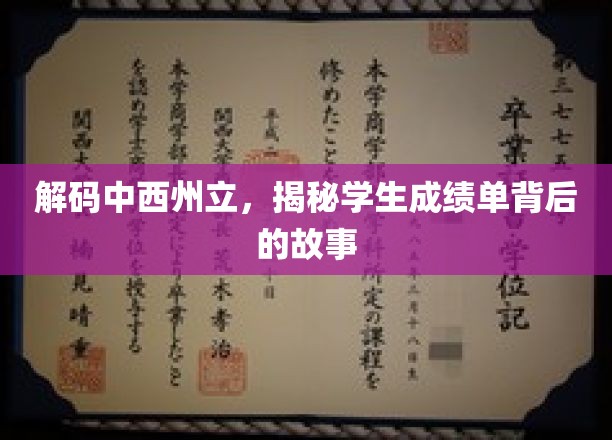 解码中西州立，揭秘学生成绩单背后的故事