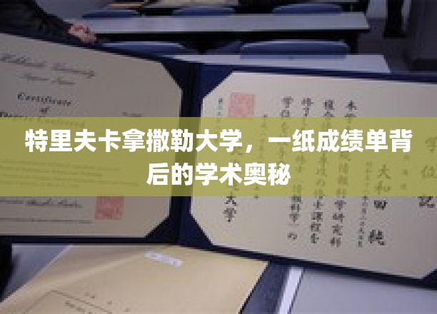 特里夫卡拿撒勒大学，一纸成绩单背后的学术奥秘