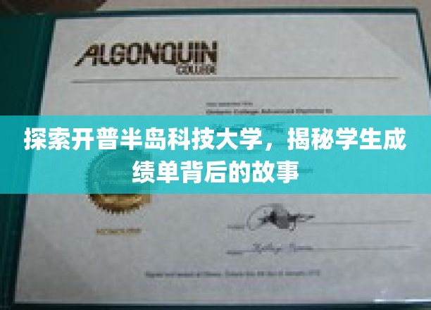 探索开普半岛科技大学，揭示学生成绩单背后的故事