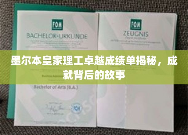 墨尔本皇家理工卓越成绩单揭秘，成就背后的故事