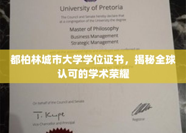 都柏林城市大学学位证书，展现全球认可的学术荣耀