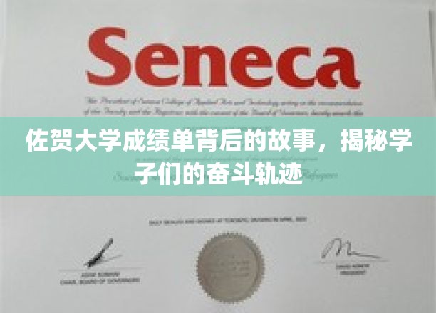 佐贺大学成绩单背后的故事，揭秘学子们的奋斗轨迹