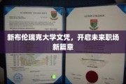 新布伦瑞克大学文凭，引领职海启航新航程