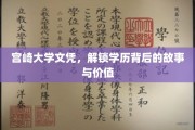 宫崎大学文凭背后的传奇，揭秘学历的深层价值与故事脉络