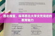 丝绸之路上的知识瑰宝，西北大学文凭的教育之光