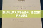跨越国界，意大利比萨大学证书引领全球学术潮流