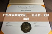 广岛大学证书，开启无限未来之门