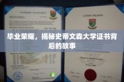 揭秘史蒂文森大学荣耀证书，毕业背后的传奇历程