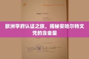 欧洲学术之旅，探索安哈尔特大学文凭的全球认可价值